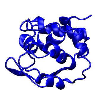 Structure preview of MoDEL 1C52