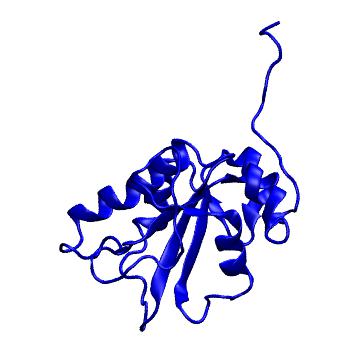Structure preview of MoDEL 1C25
