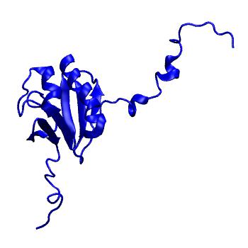 Structure preview of MoDEL 1CKV