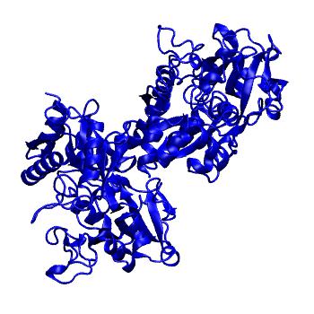 Structure preview of MoDEL 1CB6
