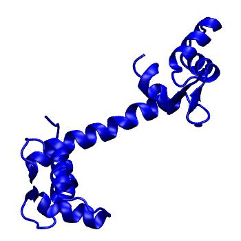 Structure preview of MoDEL 4CLN