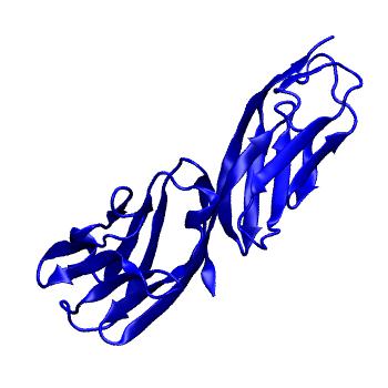 Structure preview of MoDEL 1CDY