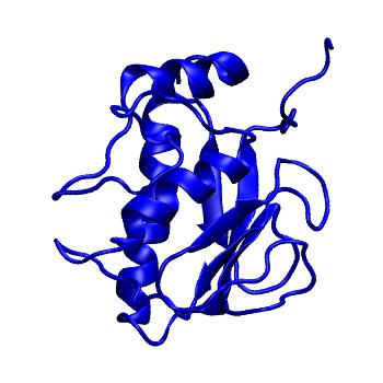 Structure preview of MoDEL 1CGE