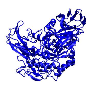 Structure preview of MoDEL 1CIU