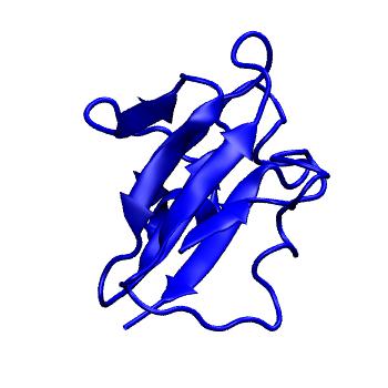 Structure preview of MoDEL 2CBP