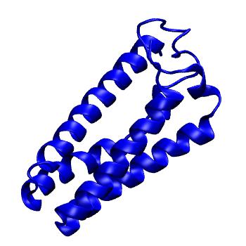 Structure preview of MoDEL 1CPQ