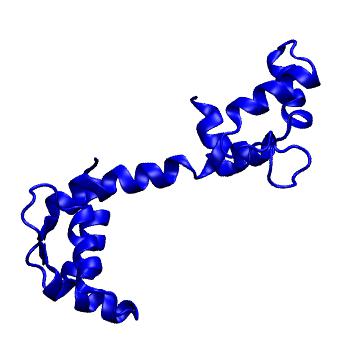 Structure preview of MoDEL 1CLM