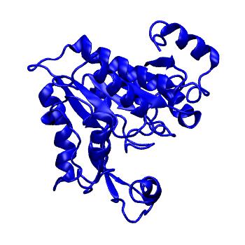 Structure preview of MoDEL 1CD5