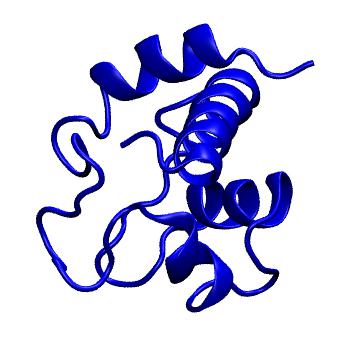 Structure preview of MoDEL 1CTJ