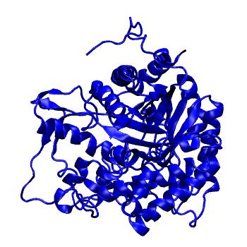 Structure preview of MoDEL 1CBG