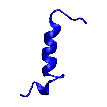 Structure preview of MoDEL 1CQ0