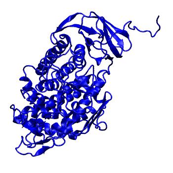 Structure preview of MoDEL 1CLC