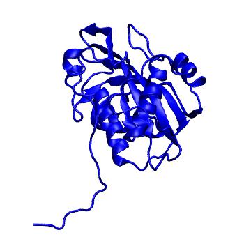Structure preview of MoDEL 1CBY