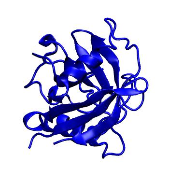 Structure preview of MoDEL 2CPL