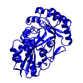 Structure preview of MoDEL 2CHR