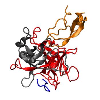 Structure preview of MoDEL 1CA0