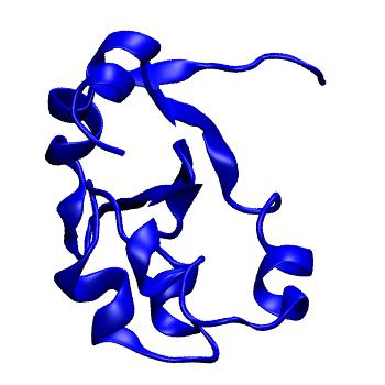 Structure preview of MoDEL 1CYO