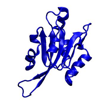 Structure preview of MoDEL 1COF