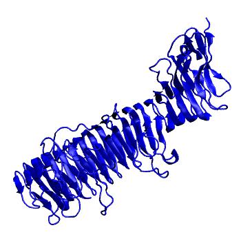 Structure preview of MoDEL 1DAB