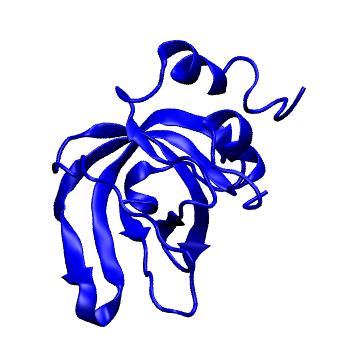 Structure preview of MoDEL 1D2B