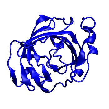 Structure preview of MoDEL 1D2U
