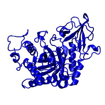 Structure preview of MoDEL 1D2K