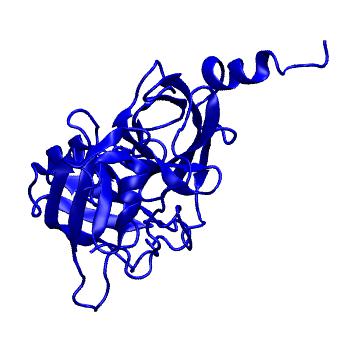 Structure preview of MoDEL 1DT2