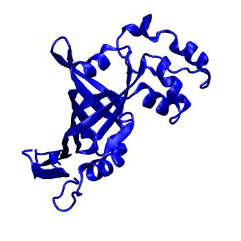 Structure preview of MoDEL 1DNL