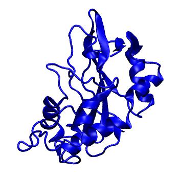Structure preview of MoDEL 1DIX