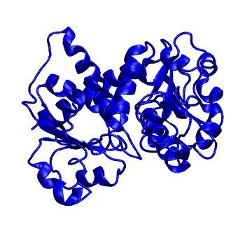 Structure preview of MoDEL 1DXH