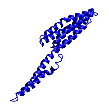 Structure preview of MoDEL 1DOV