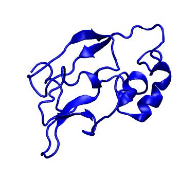 Structure preview of MoDEL 1D4B