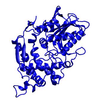 Structure preview of MoDEL 1DKM