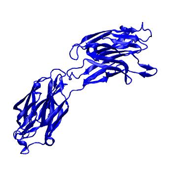Structure preview of MoDEL 1D2P