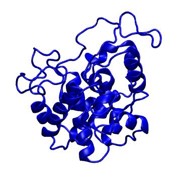 Structure preview of MoDEL 1DXJ