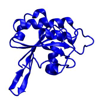 Structure preview of MoDEL 1D5C