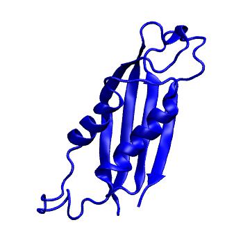 Structure preview of MoDEL 1DHN