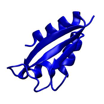 Structure preview of MoDEL 1DT4