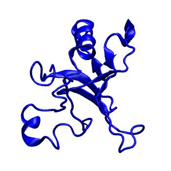 Structure preview of MoDEL 1DRO