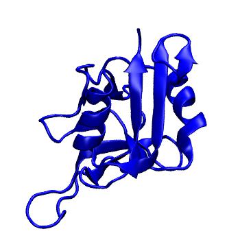 Structure preview of MoDEL 1DV8