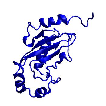 Structure preview of MoDEL 2E2C