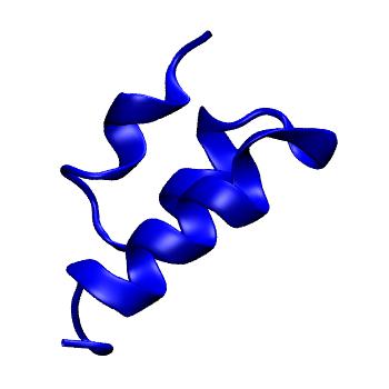 Structure preview of MoDEL 2ERL