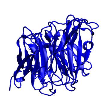Structure preview of MoDEL 1EUR