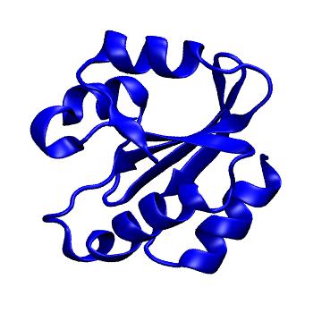 Structure preview of MoDEL 1ERU