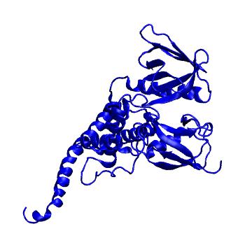 Structure preview of MoDEL 1E5W