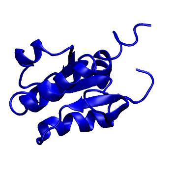 Structure preview of MoDEL 1EIW