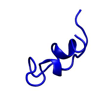 Structure preview of MoDEL 1EDS
