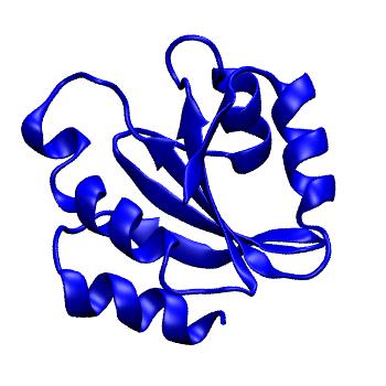 Structure preview of MoDEL 1ERW