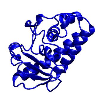 Structure preview of MoDEL 1EB6