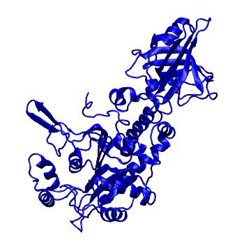 Structure preview of MoDEL 1EOV